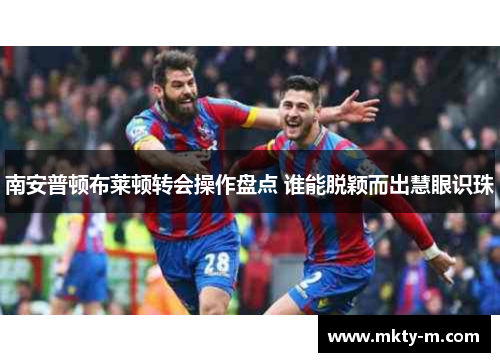 南安普顿布莱顿转会操作盘点 谁能脱颖而出慧眼识珠
